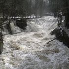 Die rabiate Wesenitz im Liebethaler Grund