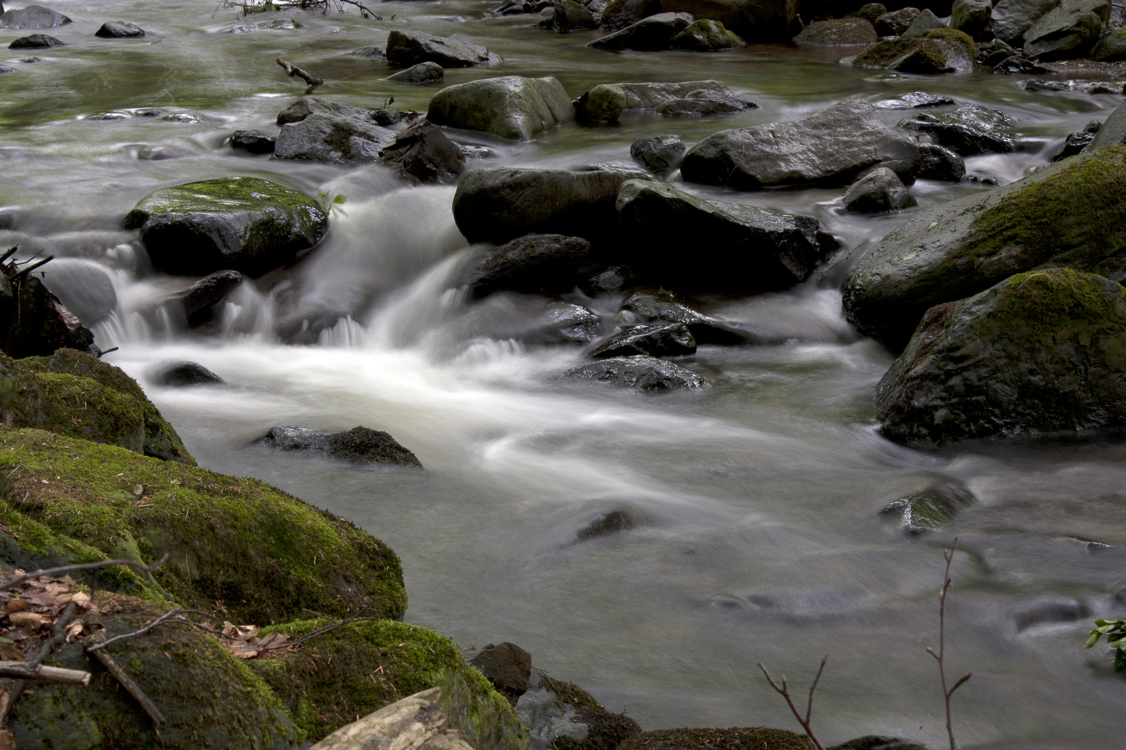 Die Radau