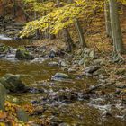 die Radau - bei Bad Harzburg/Harz