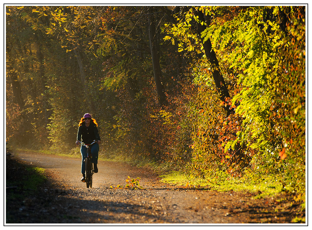 Die Radfahrerin