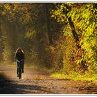 Die Radfahrerin