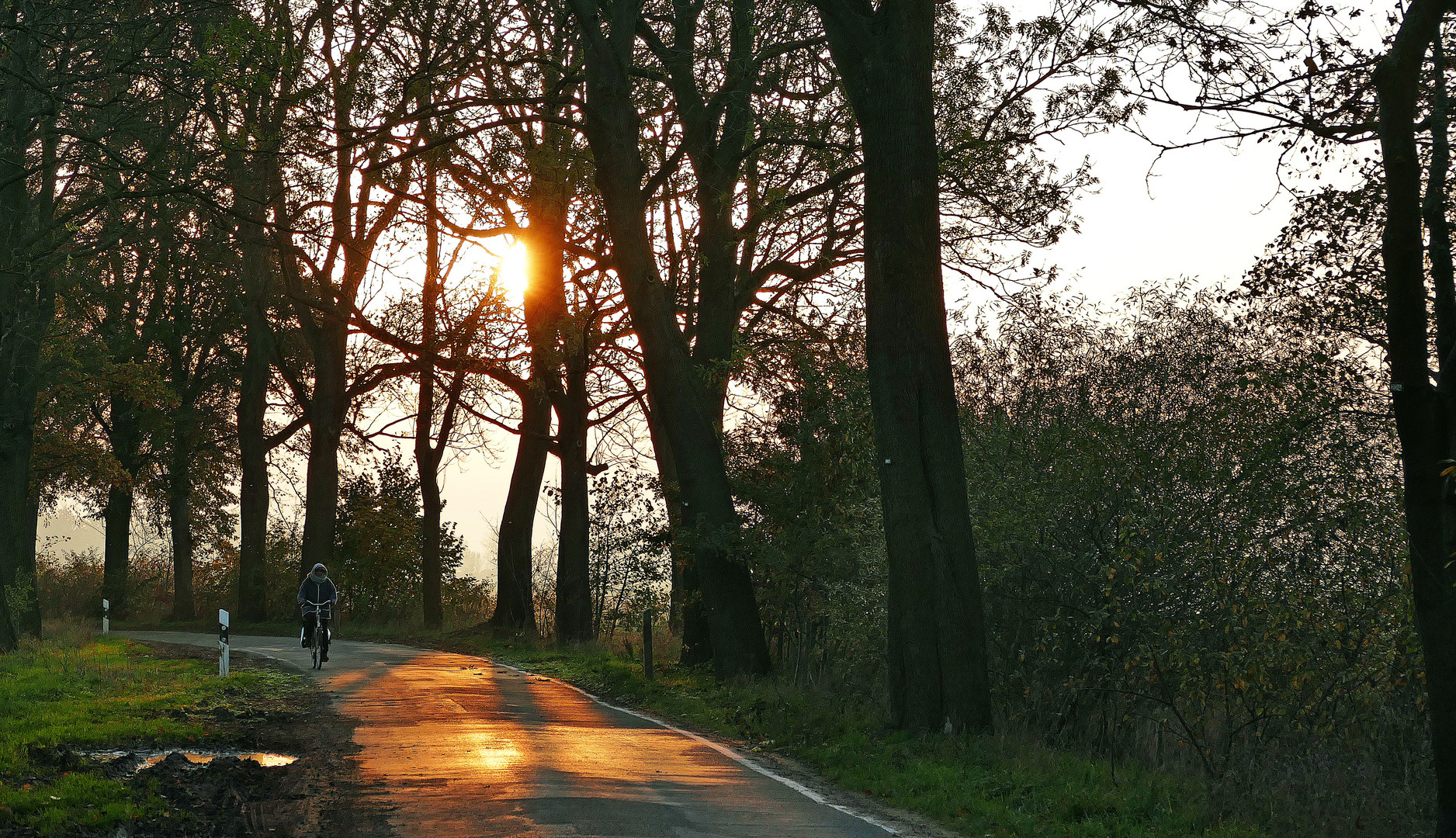 Die Radfahrerin