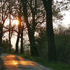 Die Radfahrerin