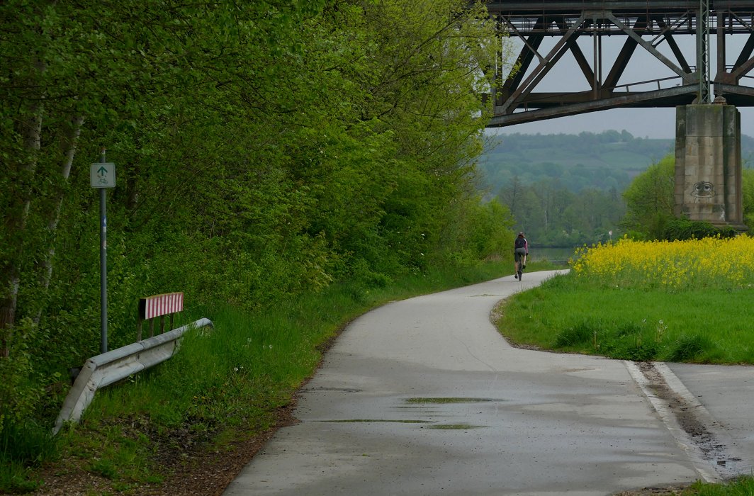 Die Radfahrerin, der Raps und die Strapse