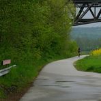 Die Radfahrerin, der Raps und die Strapse