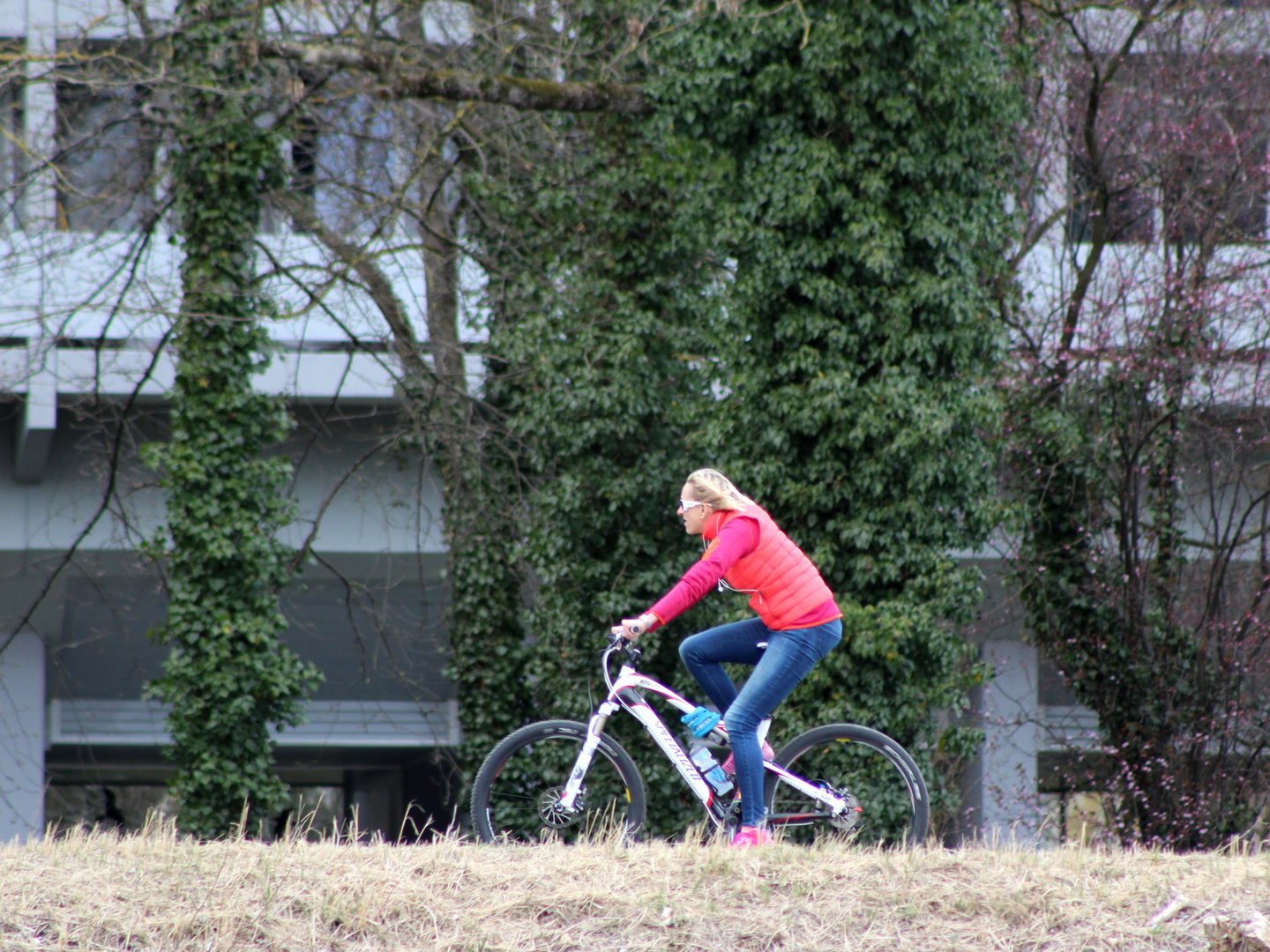 Die Radlerin