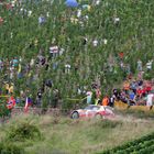 Die Rallye und Ihre Fans