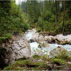 Die Ramsauer Ache im Zauberwald am Hintersee (Berchtesgadener Land)