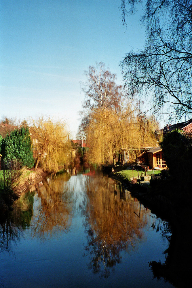 Die Ramsdorfer Aa in der Februarsonne