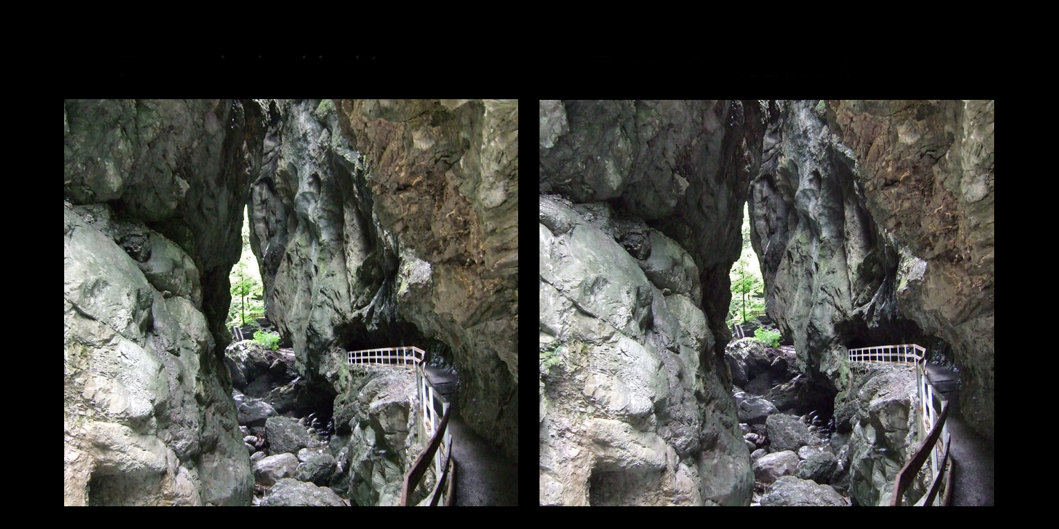 Die Rappenlochschlucht in Vorarlberg