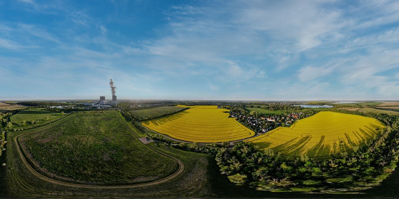 Die Rapsfelder am Kraftwerk