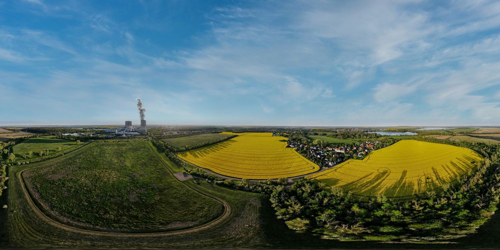 Die Rapsfelder am Kraftwerk