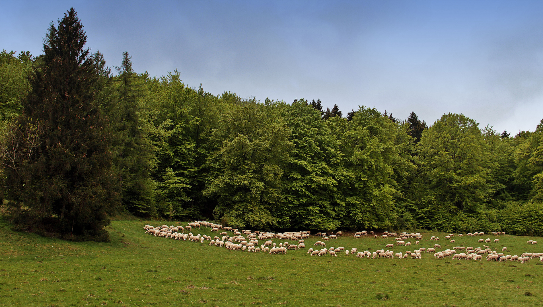 die Rasenmäher sind unterwegs