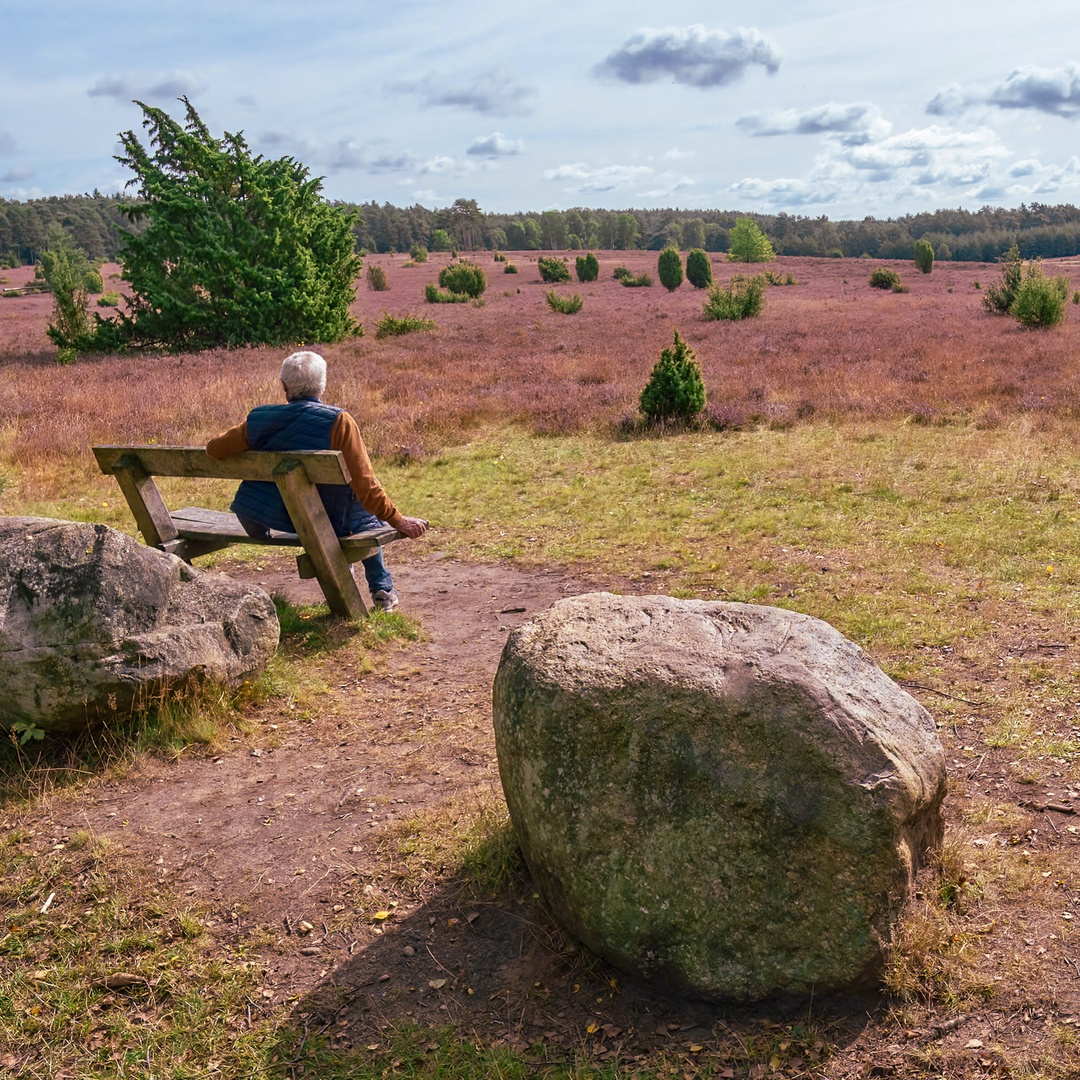 Die Rast am Rand der Heide