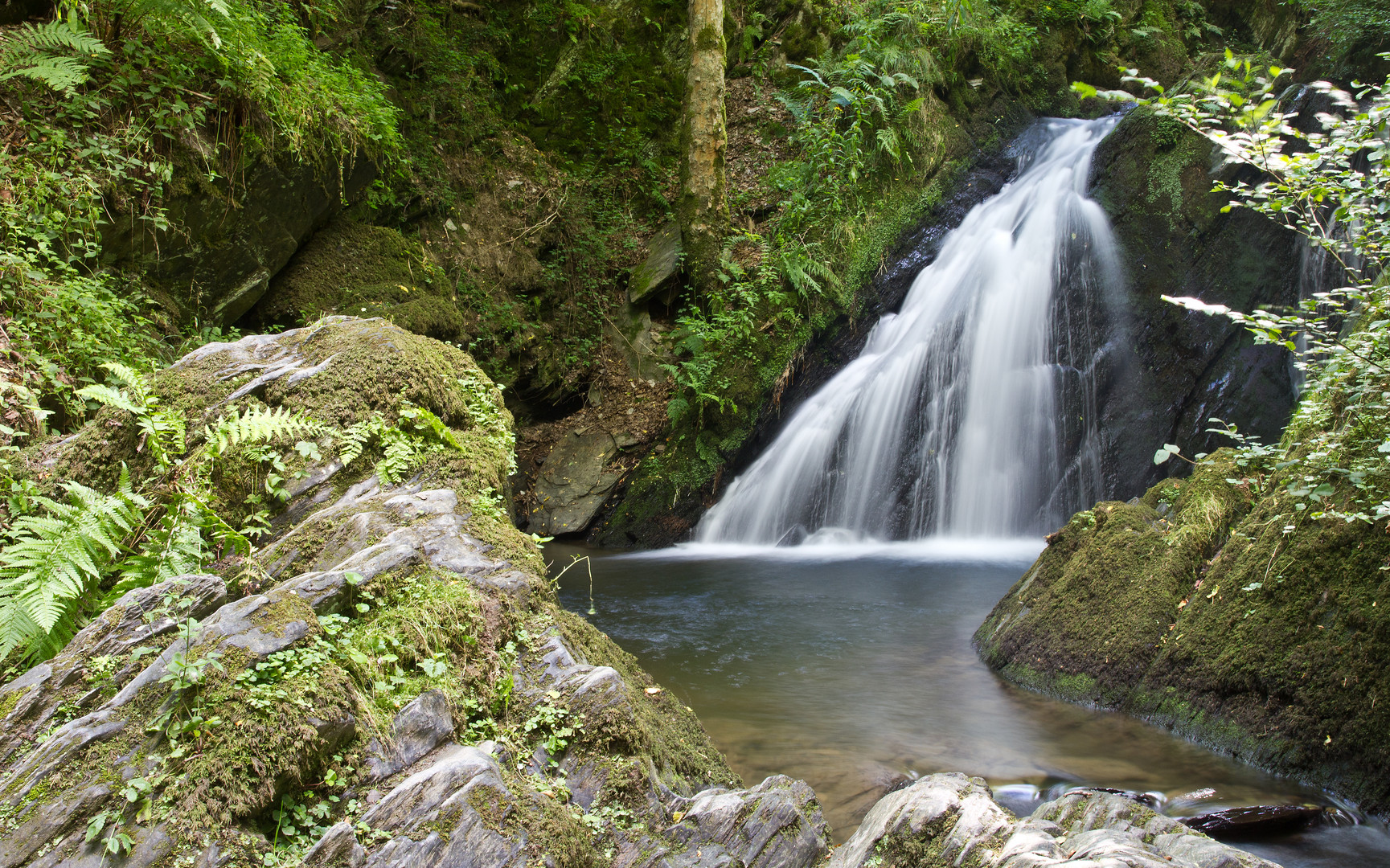 Die Rausch im Enderttal