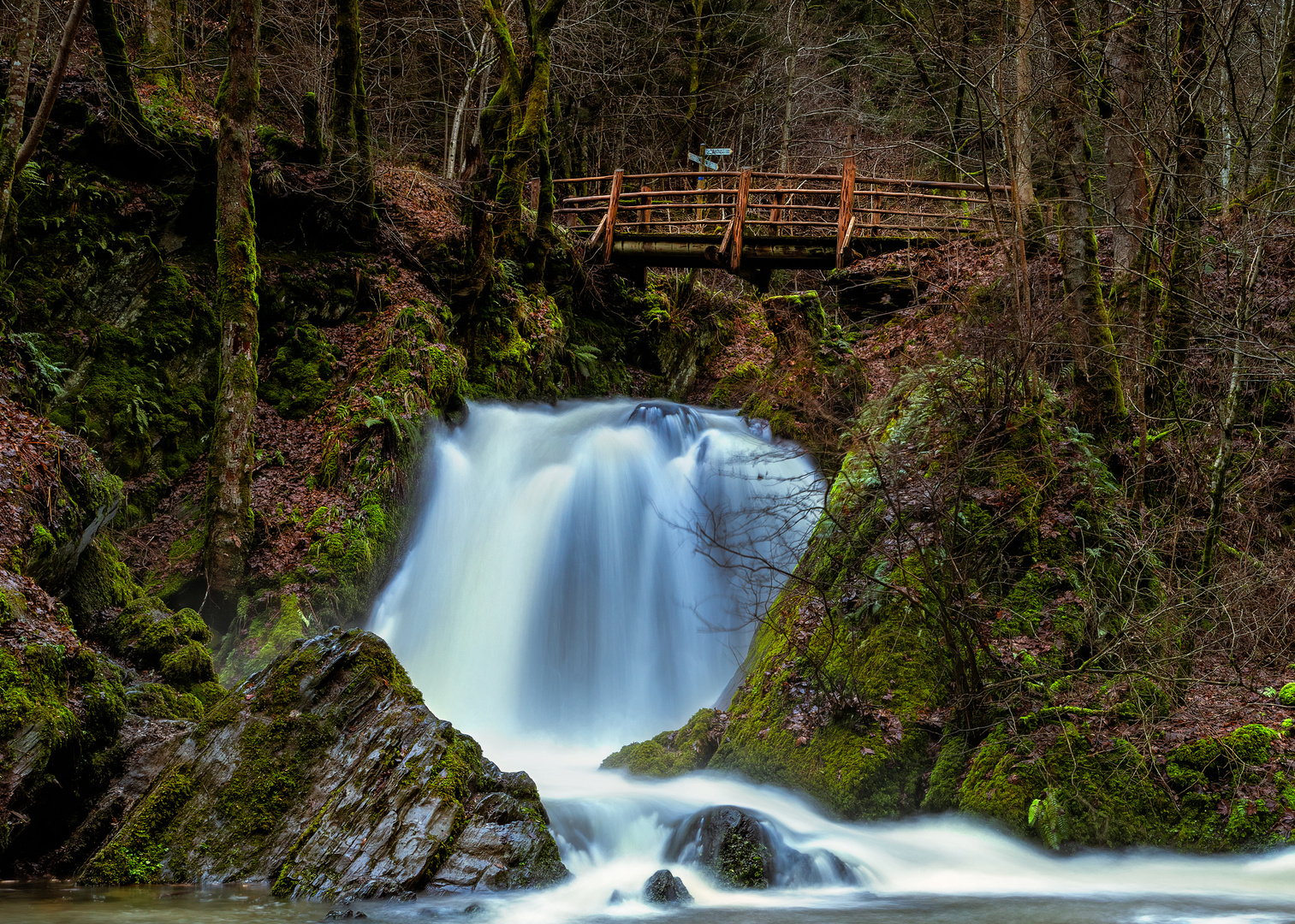 Die Rausch im Tal des Wilden Endert