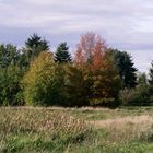 Die "Rechte Wiese" in Langen