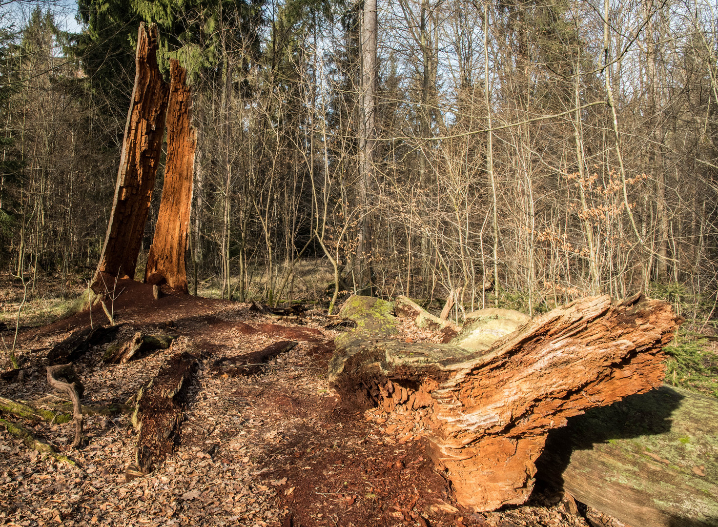 Die Recycling-Werkstatt im Naturschutzgebiet