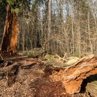 Die Recycling-Werkstatt im Naturschutzgebiet