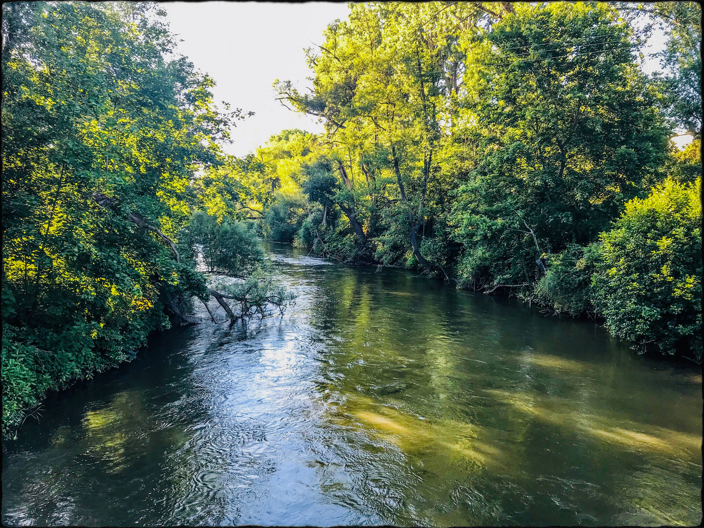 Die Rednitz Foto & Bild landschaften, sommer, bäume Bilder auf
