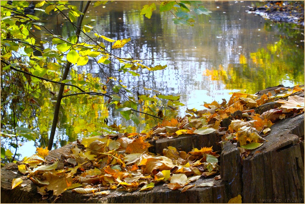 Die Rednitz im Herbst