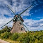 Die reetgedeckte Windmühle in der Geltinger Birk