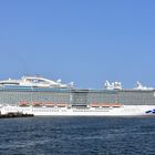 Die "Regal Princess" liegt in Warnemünde