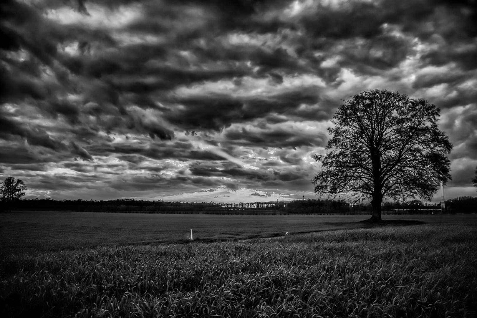 Die Regen Wolken