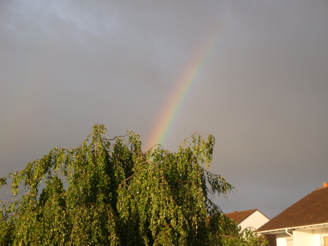 Die Regenbogen Erleuchtung