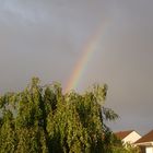 Die Regenbogen Erleuchtung