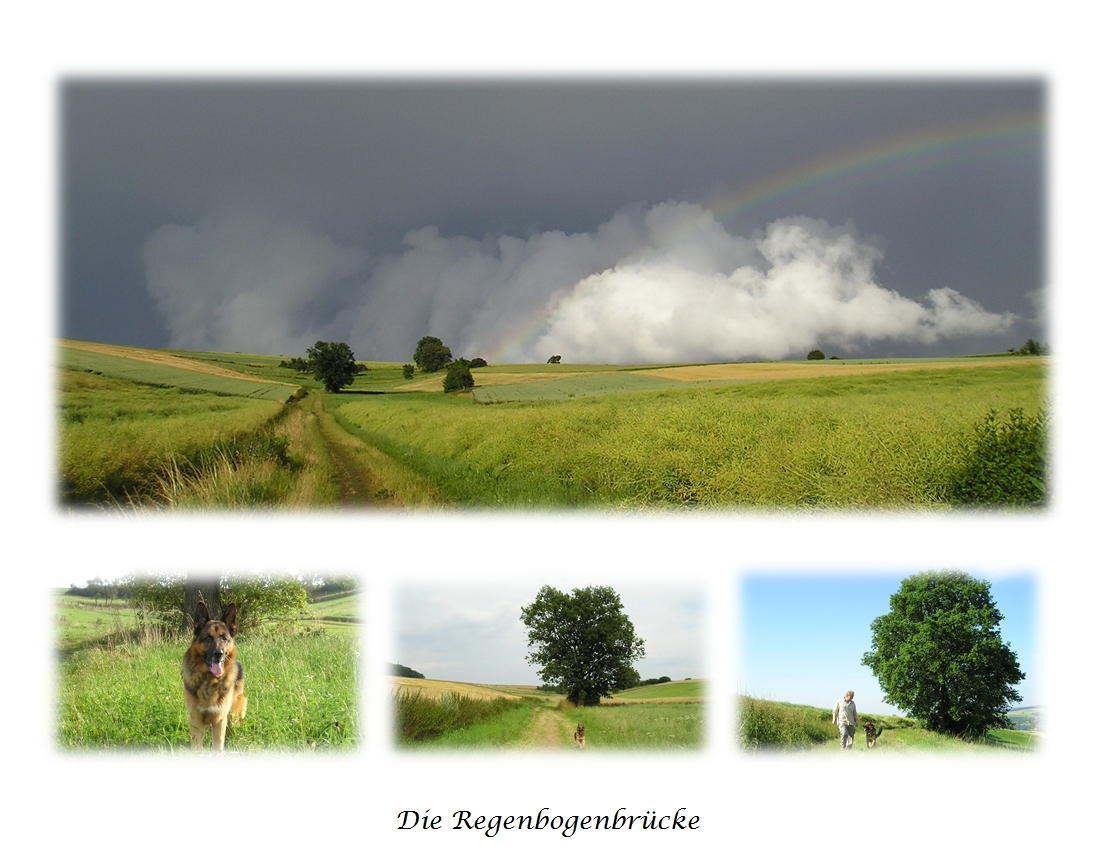 Die Regenbogenbrücke