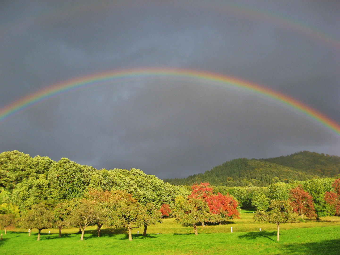 Die Regenbogenbrücke