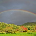 Die Regenbogenbrücke