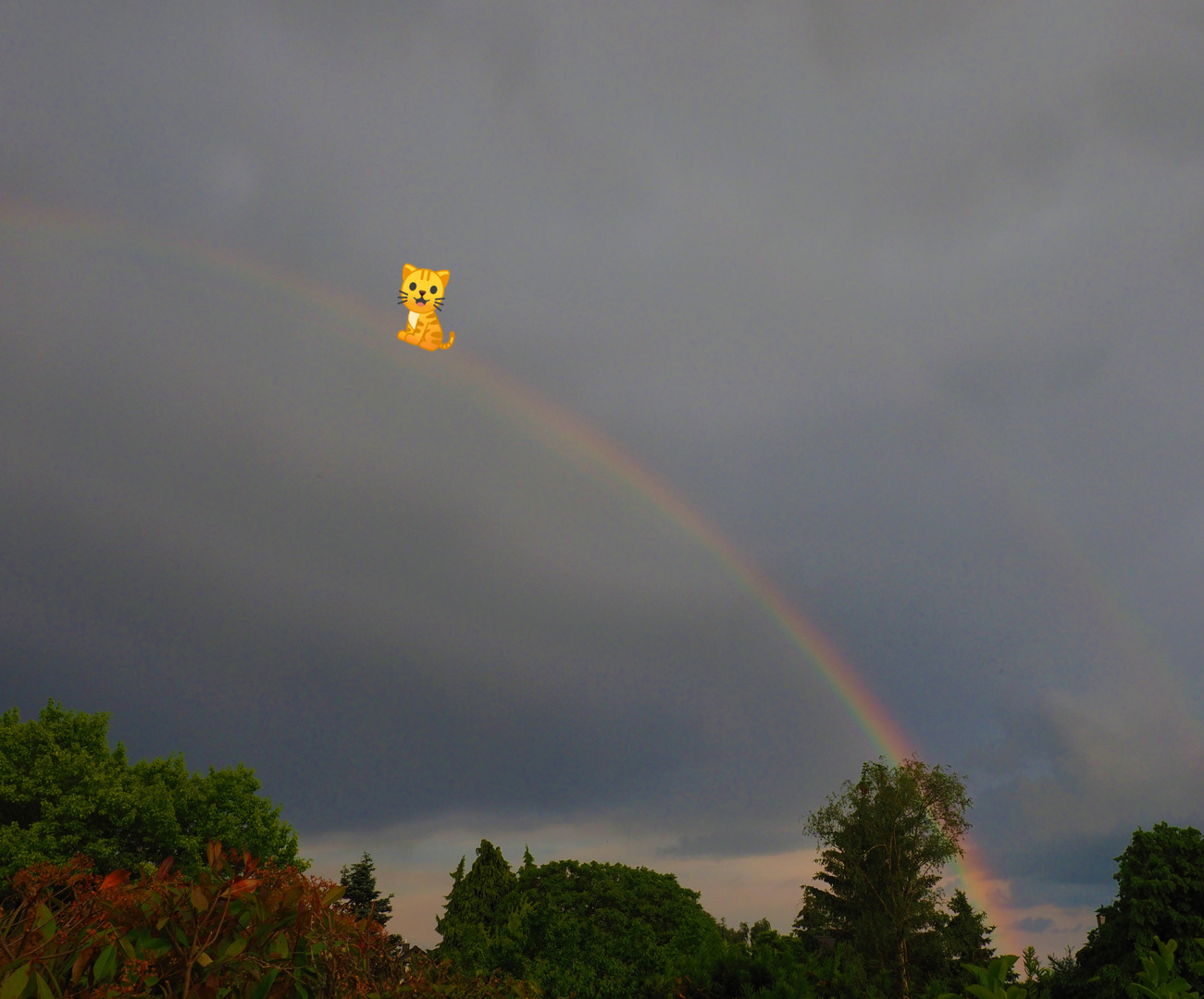 Die Regenbogenbrücke