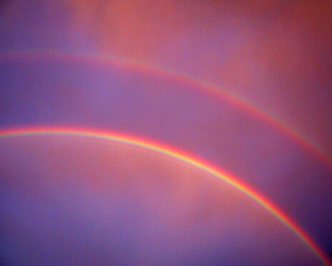 Die Regenbogenbrücke