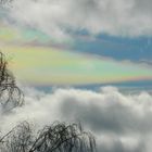 die Regenbogenwolke