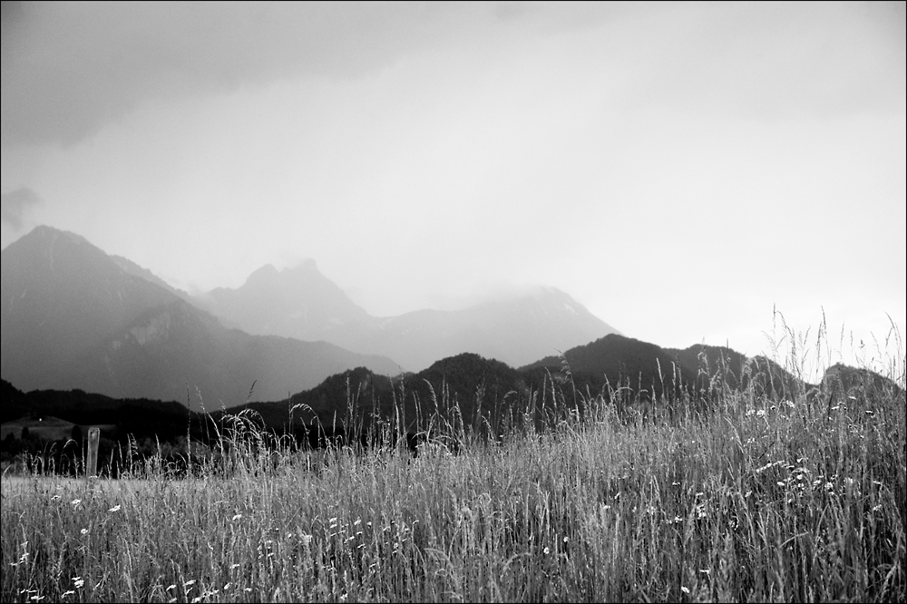 die regenfront