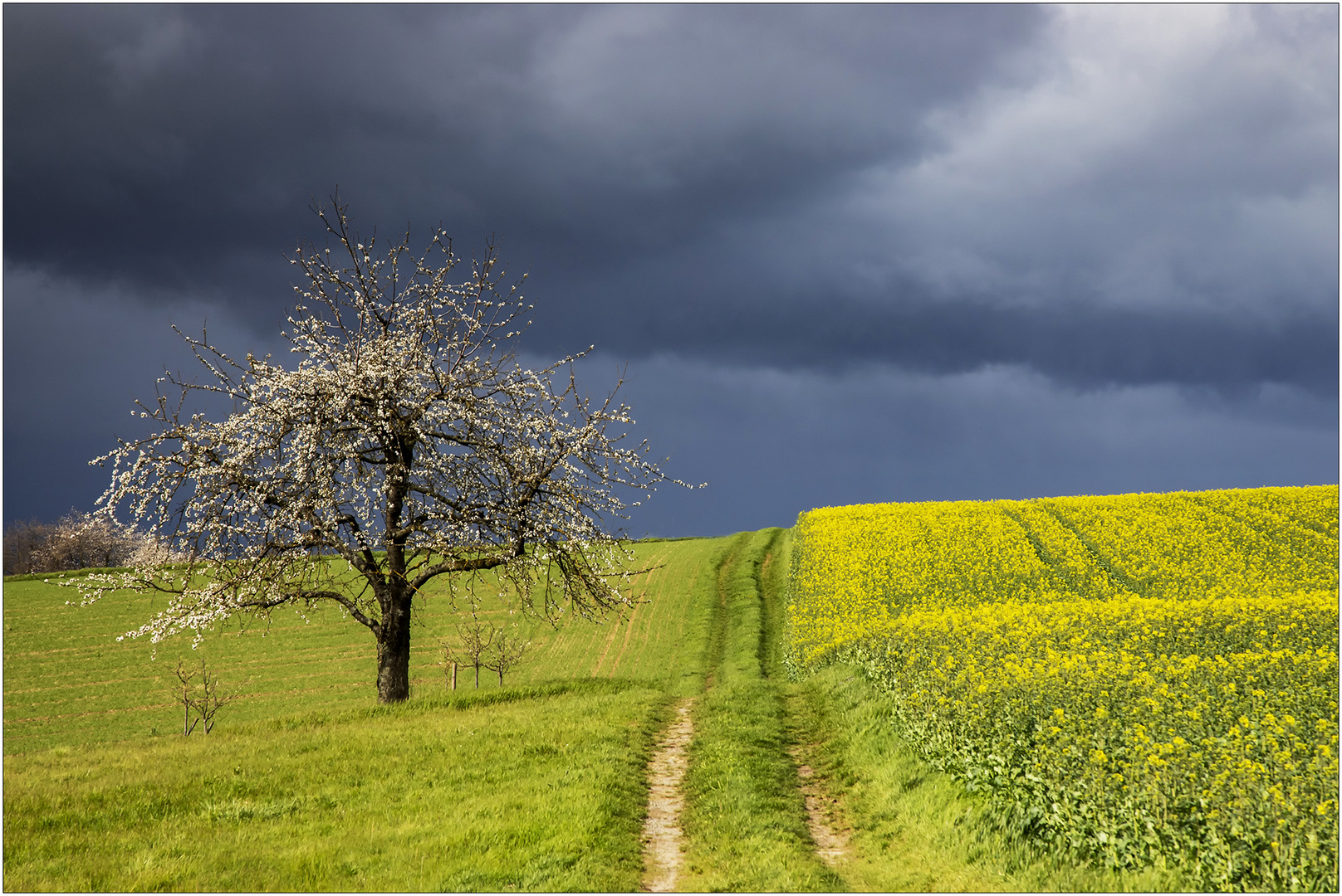 Die Regenfront, Teil 1