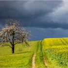 Die Regenfront, Teil 1