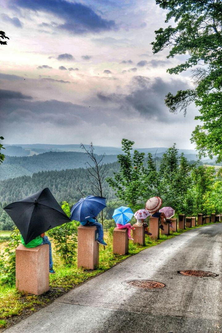 Die Regenschirme