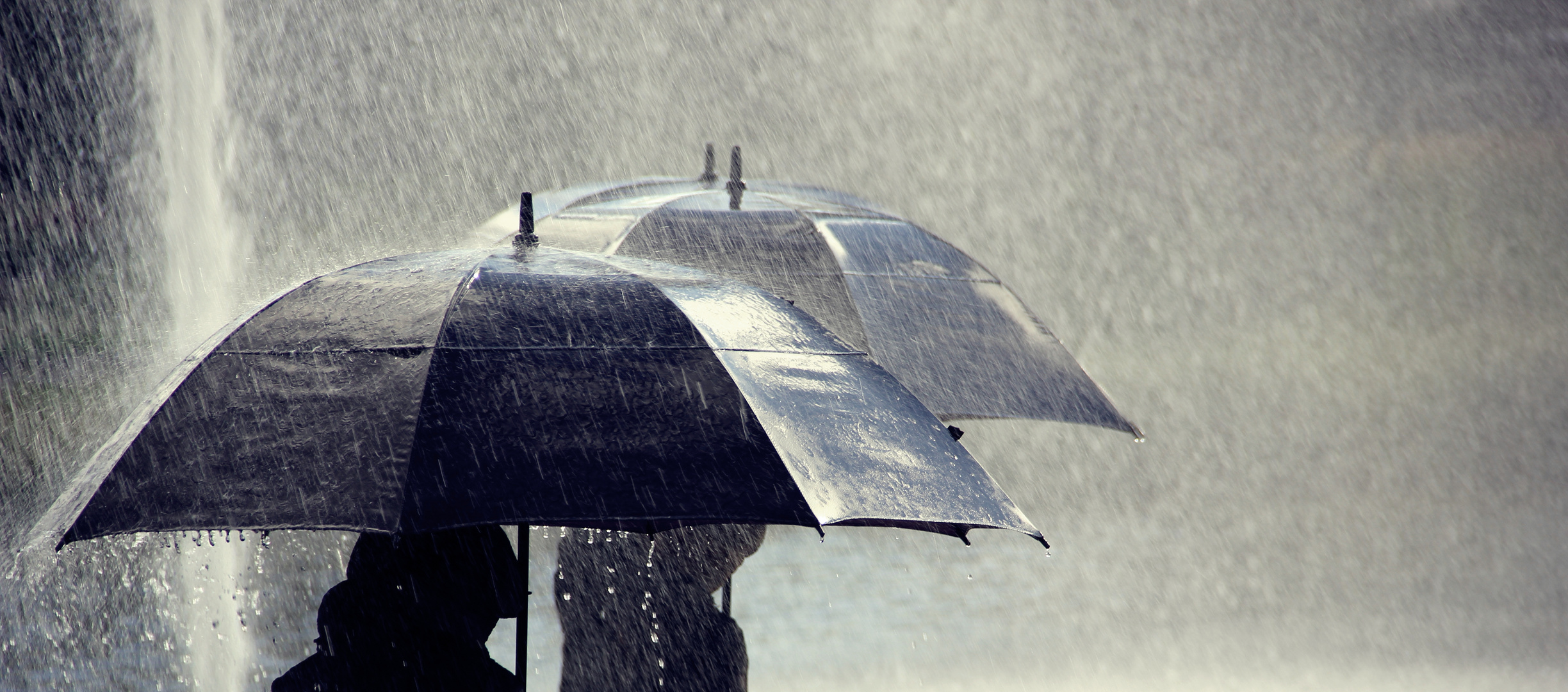 Die Regenschirme von Davos