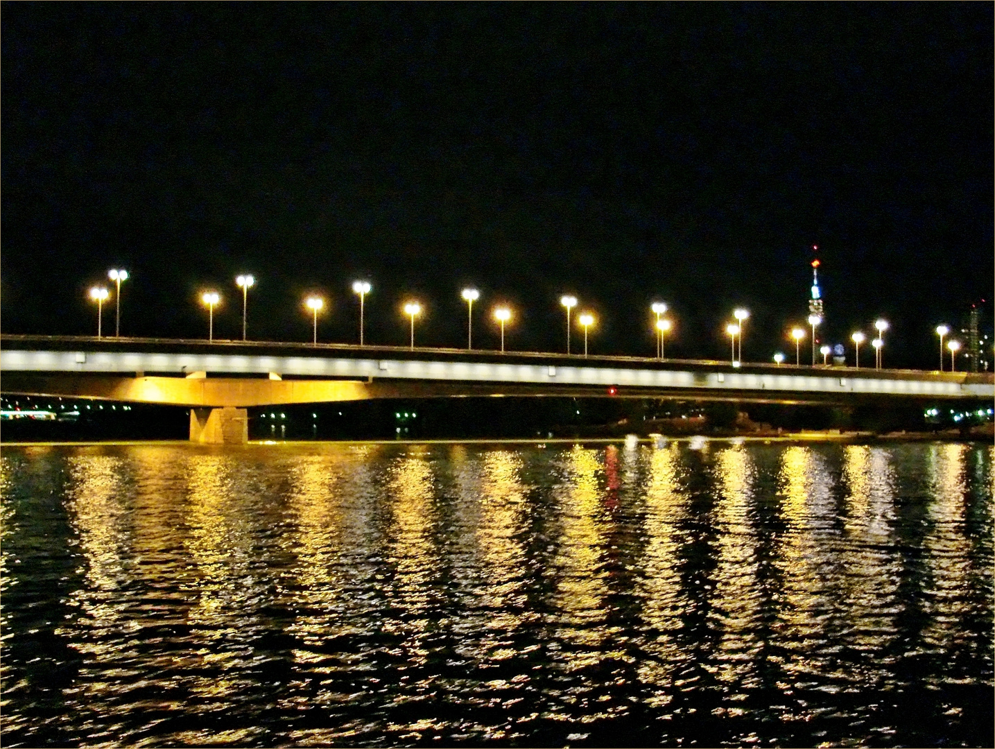 die Reichsbrücke in Wien