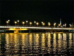 die Reichsbrücke in Wien