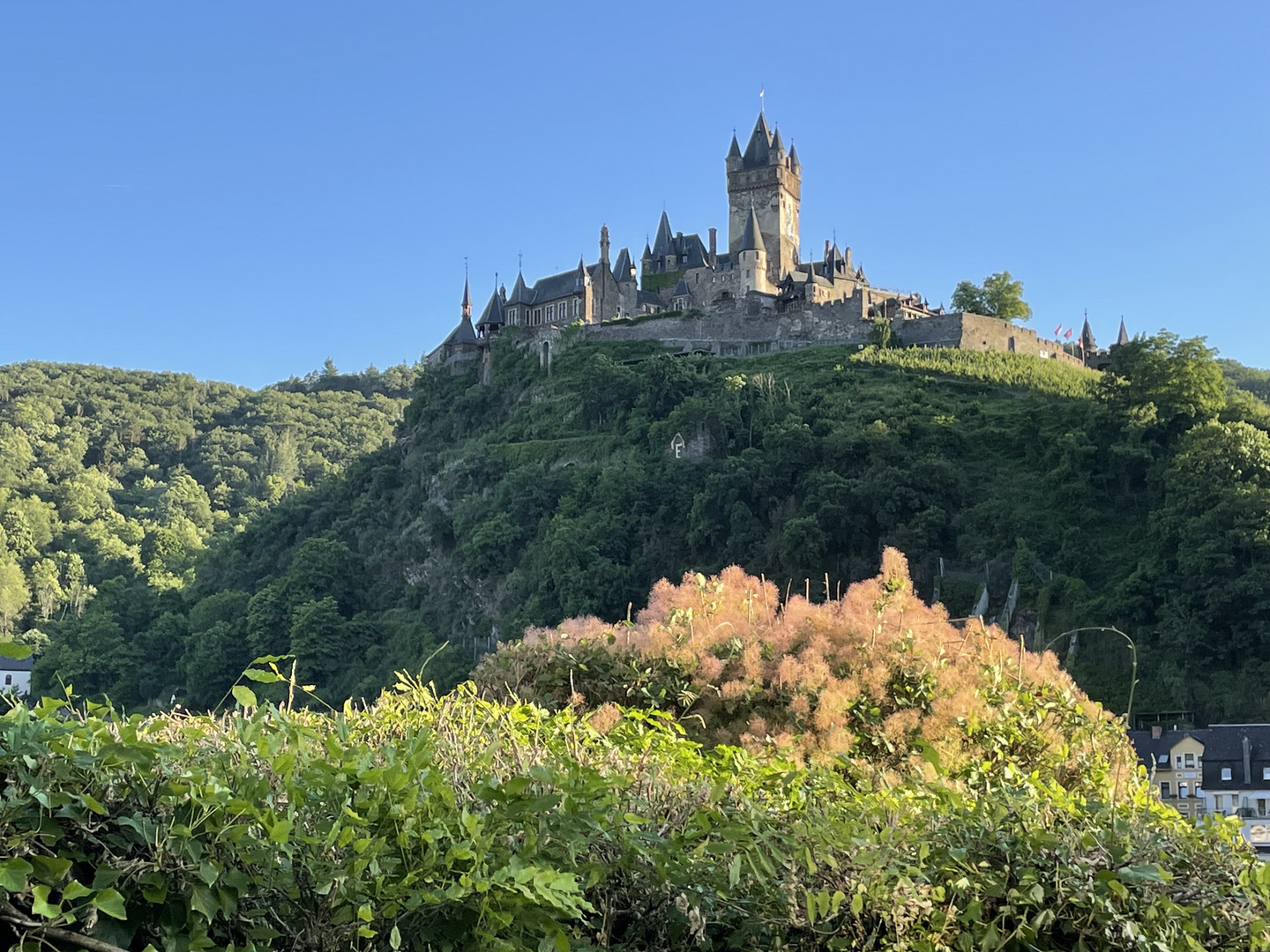 Die Reichsburg oberhalb von Cochem / Mosel