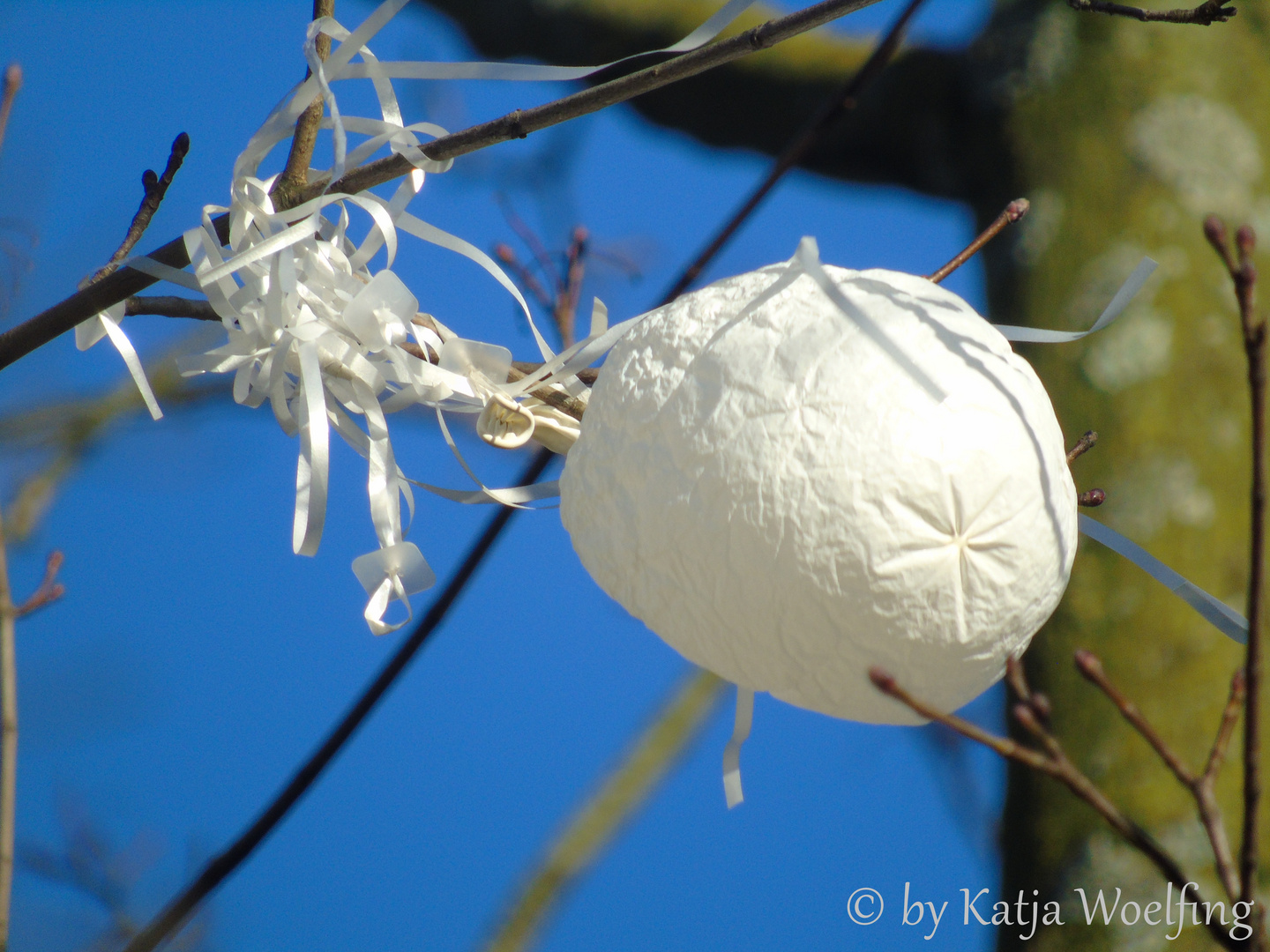 Die Reise eines Luftballons...Endstation!