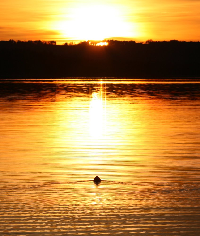 Die Reise in den Sonnenuntergang