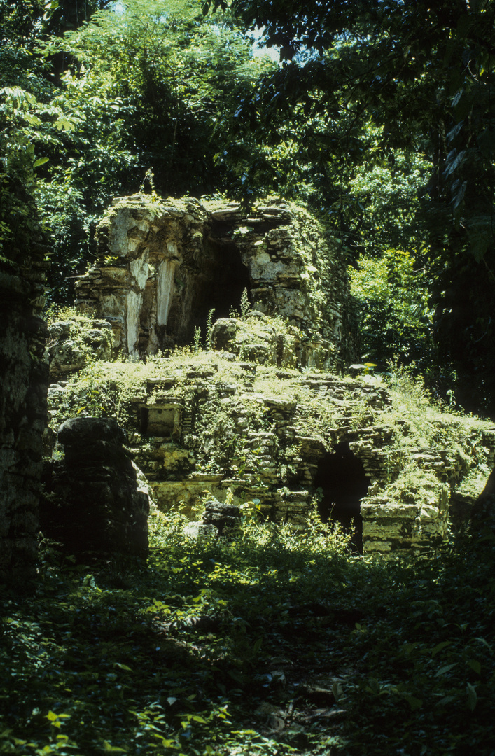 Die Reise nach Yaxchilan - Teil XI