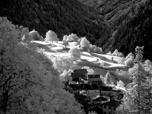 Die "Reisfelder" von S.