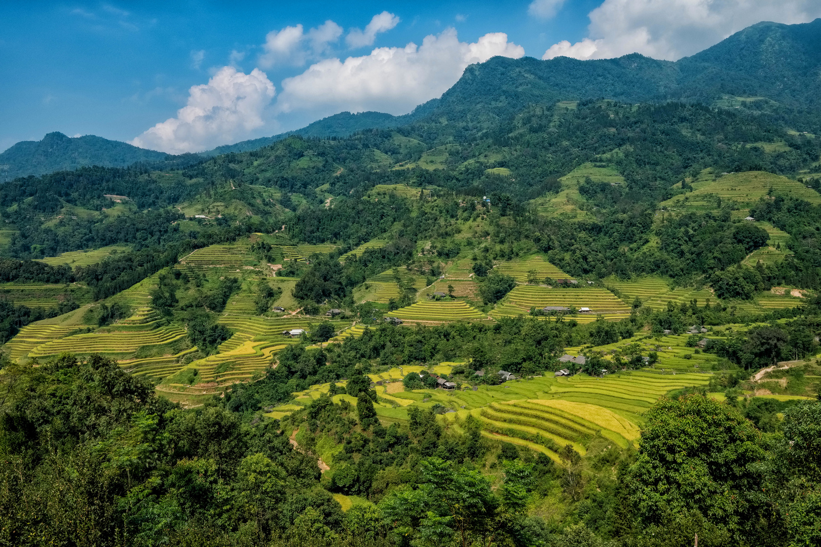 Die Reisterassen von Hoang su Phi