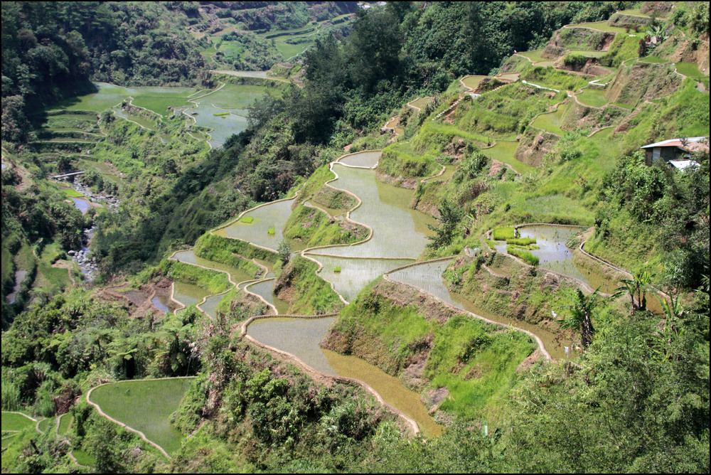 Die Reisterrassen von Banaue